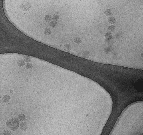 nanoparticles1