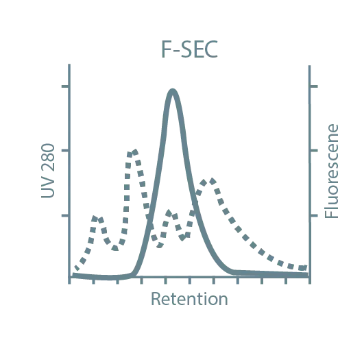 FSEC copy@4x